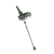 Sage
